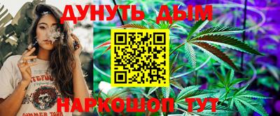 стаф Моздок