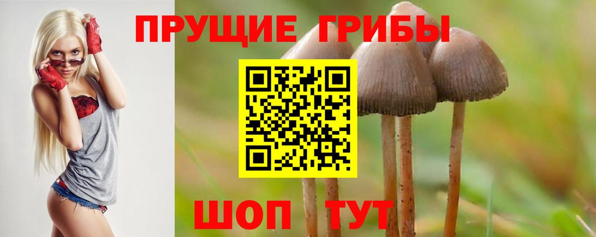 Заводоуковск  Галлюциногенные грибы GOLDEN TEACHER  Вход с VPN  Галлюциногенные грибы Cubensis 